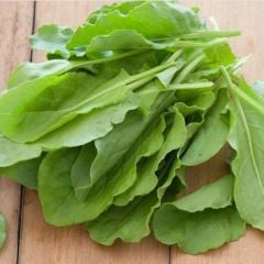 Doğal Anadolu Geniş Yaprak Ekşi Otu Kuzu Kulağı Tohumu (200 Tohum)