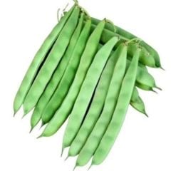 Kılçıksız Edanaz Oturak Doğal Fasulye Tohumu (20 Tohum)