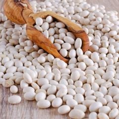 Geleneksel Yemeklik Piyazlık Erzincan Şeker Fasulyesi Tohumu (20 Tohum)