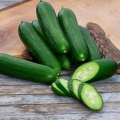 Geleneksel Doğal Çengelköy Salatalık Hıyar Tohumu (20 Tohum)