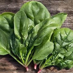 Geleneksel Geniş Yaprak Matador Ispanak Tohumu (100 Tohum)