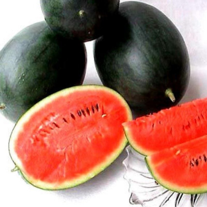 Doğal Dark Green Karpuz Tohumu (10 Tohum)