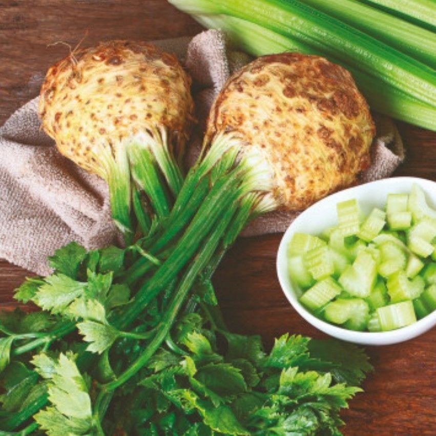 Doğal Ata Tohum İri Kök Kereviz Tohumu (100 Tohum)