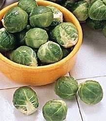 Doğal Long Island Improved Brüksel Lahanası Tohumu (50 Tohum)