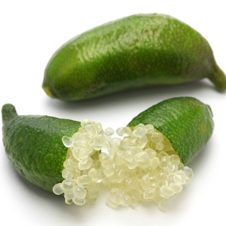 Tüplü Nadir Çeşit  Finger Lime Limon Fidanı (10-30 cm )