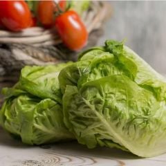 Geleneksel Tohum Doğal Sugar Leof Şeker Marul Tohumu (100 Tohum)