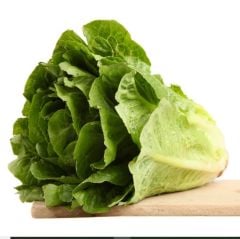 Ata Tohumları Yedikule Marul Tohumu (100 Tohum)