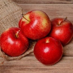 Tüplü Aşılı Tam Bodur Red Miracle Elma Fidanı