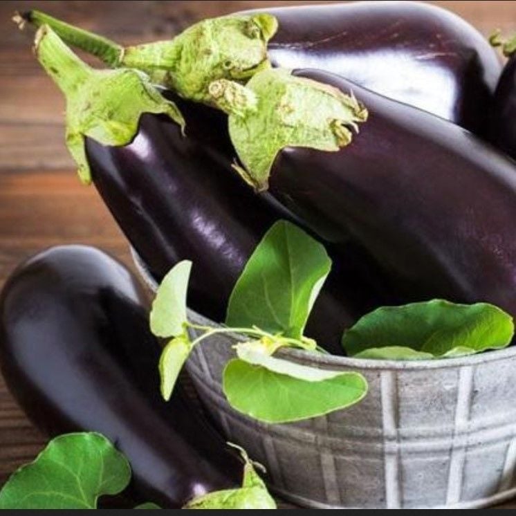 Doğal Kebaplık Mangallık Antep Balcan Patlıcan Tohumu (70 Tohum)