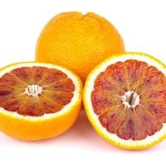 Tüplü Aşılı Verimli Kan Portakal Fidanı (Sınırlı Sayıda)