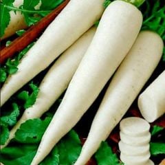 Doğal Anadolu Lezzetli Uzun Beyaz Turp Tohumu (50 Tohum)